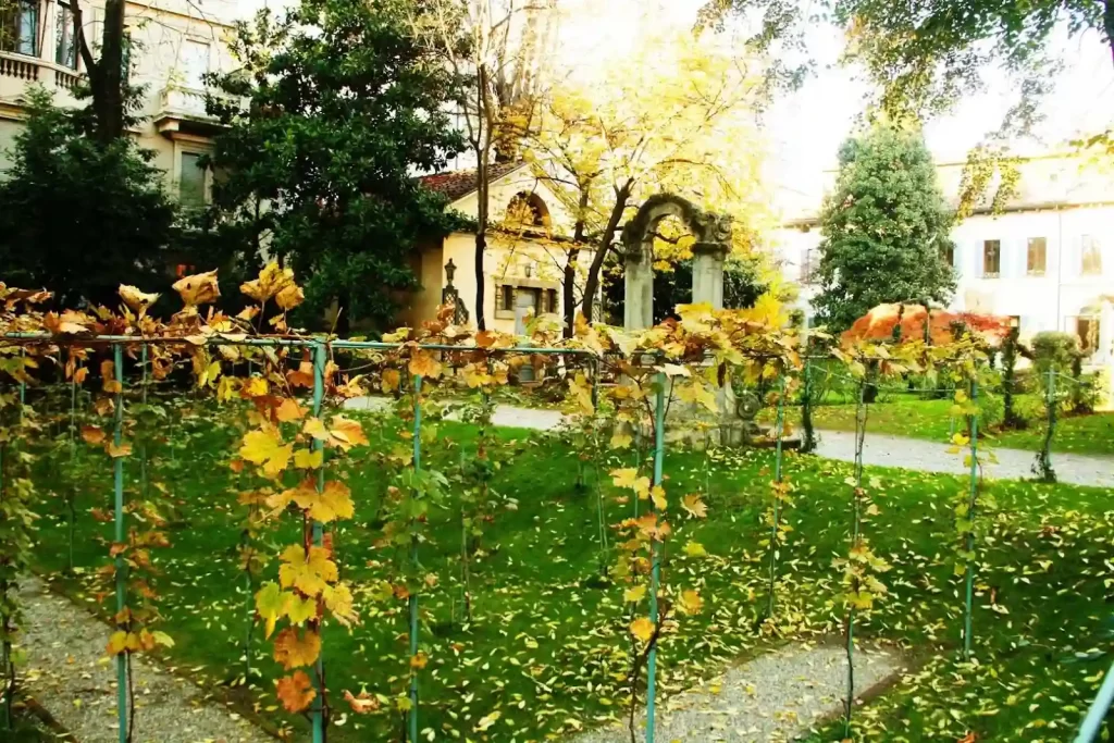 Leonardo da Vinci’s Vineyard
