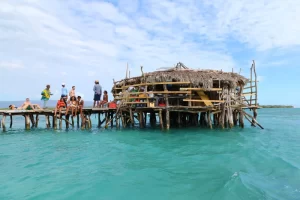pelican-bar