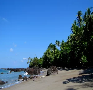 image5-1