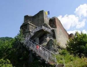 image5-2