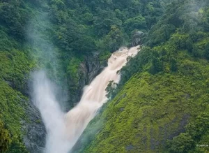 image8-5