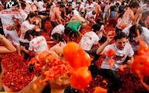 la tomatina festival in spain
