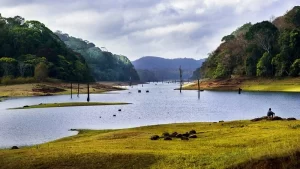 thekkady-time-to-expose-yourself-to-wildlife-min