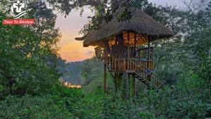 Things to do in Coorg