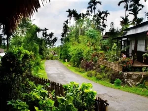 Walkthrough Asia’s Cleanest Village