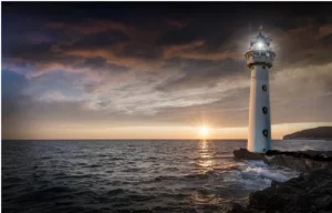 unique-yet-amazing-things-to-do-in-new-zealand