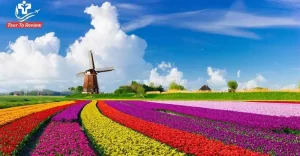 Top Things To Do In Amsterdam