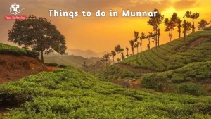Things to do in Munnar
