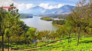 sightseeing-munnar-1-1