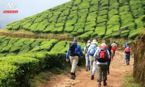 trekking-in-munnar-1-1