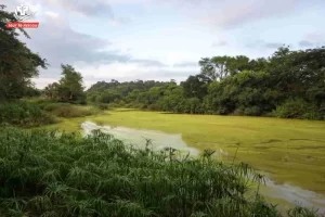 asola-bhatti-wildlife