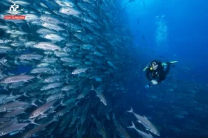 cocos-island-costa-rica