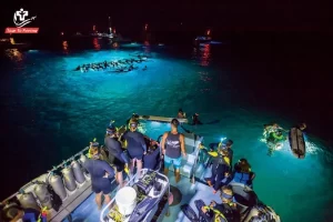 manta-night-dive-kona-hawaii