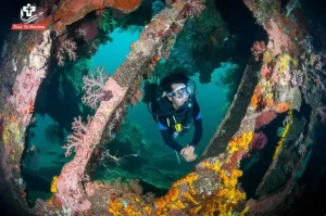 Tulamben-Bali-Indonesia