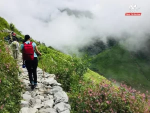 uttarakhand-trek-to-valley-of-flowers-1