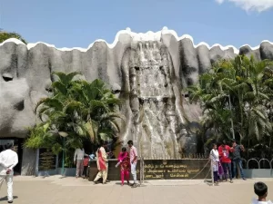 arignar-anna-zoological-park-1