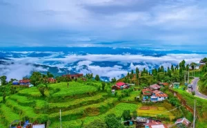 darjeeling-west-bengal-pristine-beauty