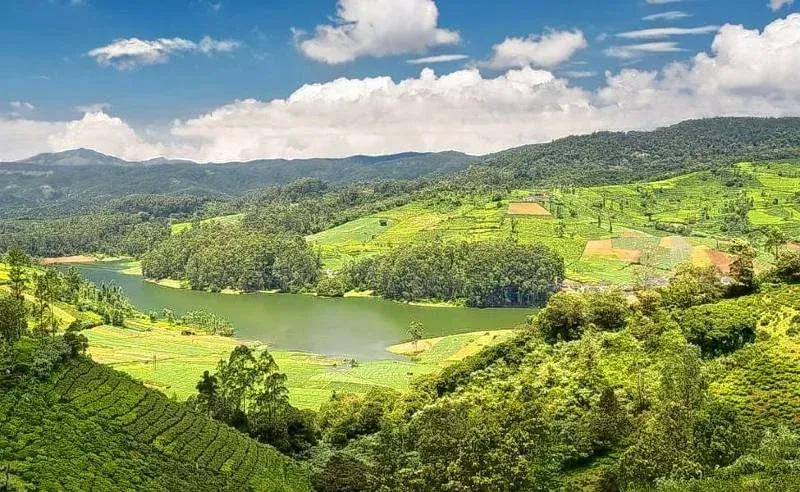 Ooty