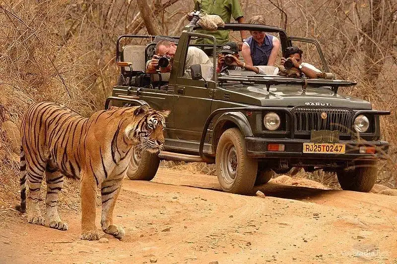 tadoba-national-park