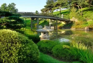 Take-a-Visit-To-Botanical-Garden-Island
