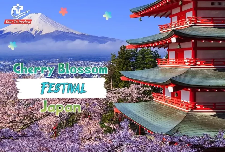 Cherry-Blossom-Festival-Japan