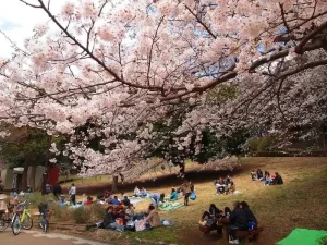 Mitsuike-Park-Japan-3
