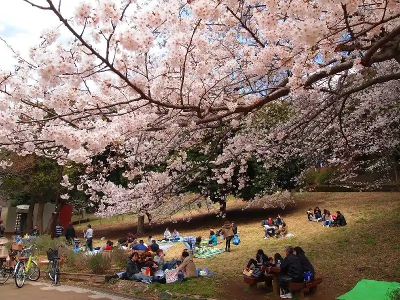 Mitsuike-Park-Japan-3
