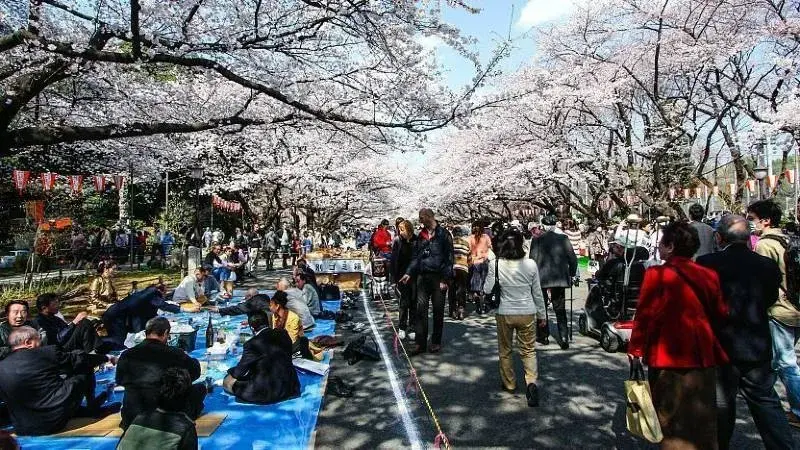 Ueno-Park-is-a-park-in-Tokyo-Japan