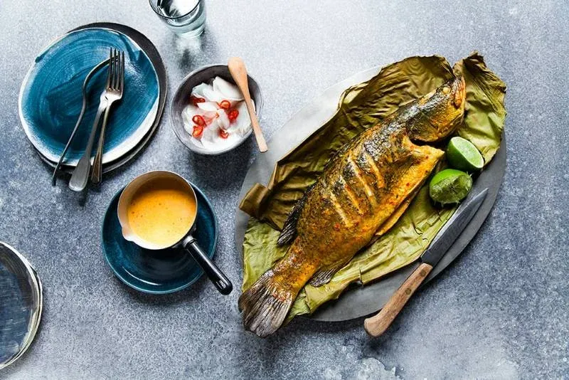 Barramundi
