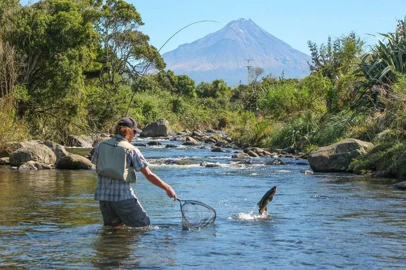 Tierra-del-Fuego