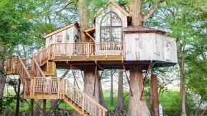 Secluded-Treehouse-Atlanta-Georgia
