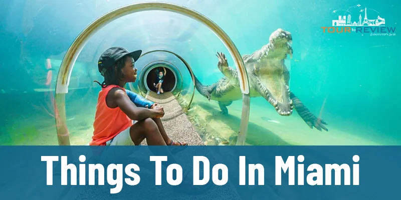 Things To Do In Miami