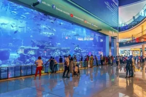 dubai-mall-aquarium-dubai-uae