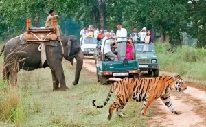 kanha-national-park