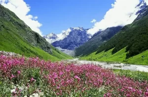 Nanda-Devi-Biosphere-Valley-of-Flowers-National-Parks