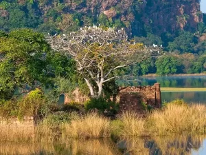 Ranthambore-National-Park-1