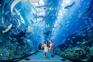 south-east-asia-aquarium-sentosa-singapore