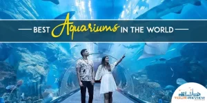 beast aquariums in the world