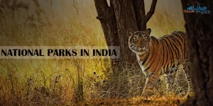 naational parks in India