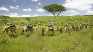 laikipia-plateau-kenya