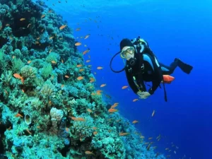 scuba-diving