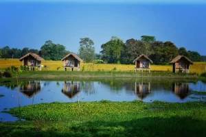 majuli-assam