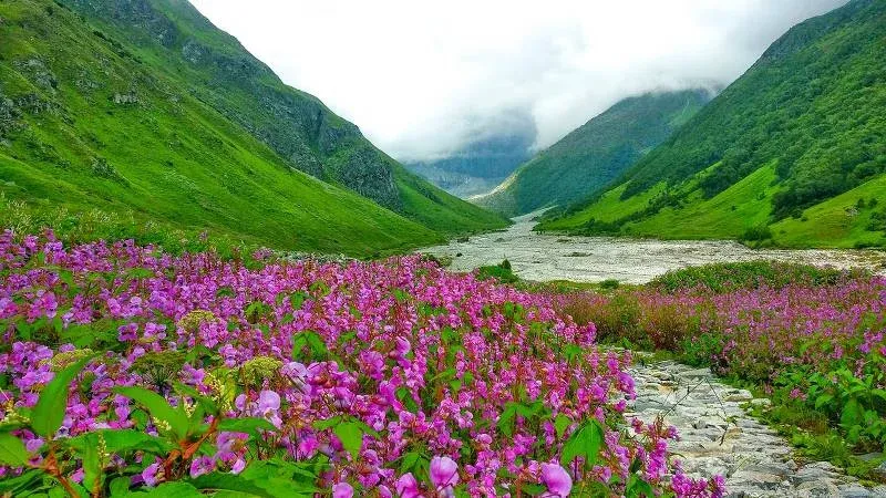 Valley-of-Flowers-Uttarakhand