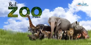 best zoo in India