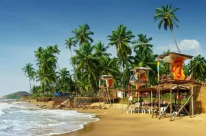 GOA