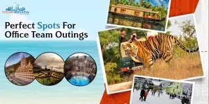 Perfect Spots for Office Team Outings