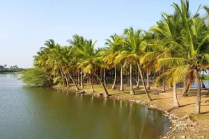 Pondicherry