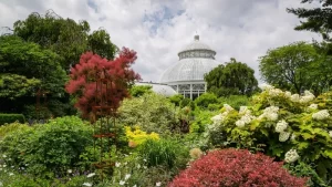 wander-in-new-york-botanical-garden