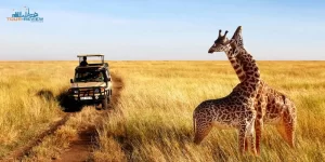 african-adv.