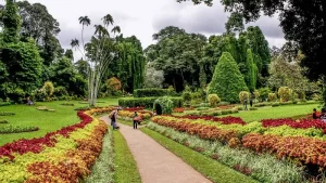 peradeniya-botanical-gardens
